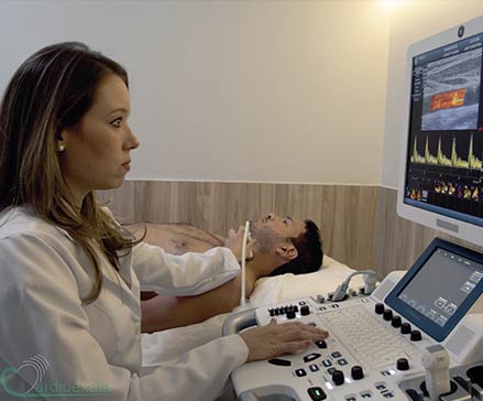 Ecocardiograma das arterias carotidas e vertebrais